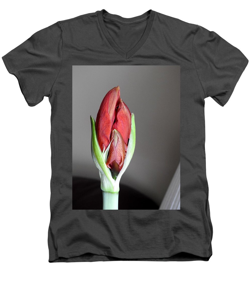 Amaryllis Plant Men's V-Neck T-Shirt featuring the photograph Super Bud by Betty-Anne McDonald