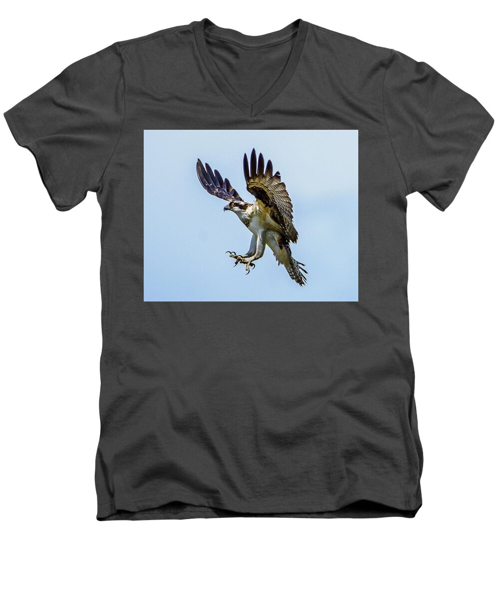 Osprey Men's V-Neck T-Shirt featuring the photograph Suspended Osprey by Jerry Cahill