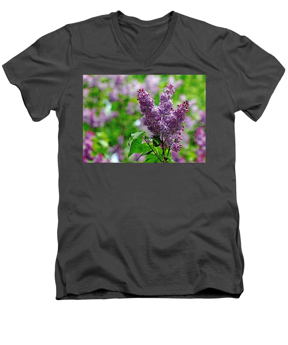 Lilacs Men's V-Neck T-Shirt featuring the photograph Sweet Smell Of Spring by Debbie Oppermann