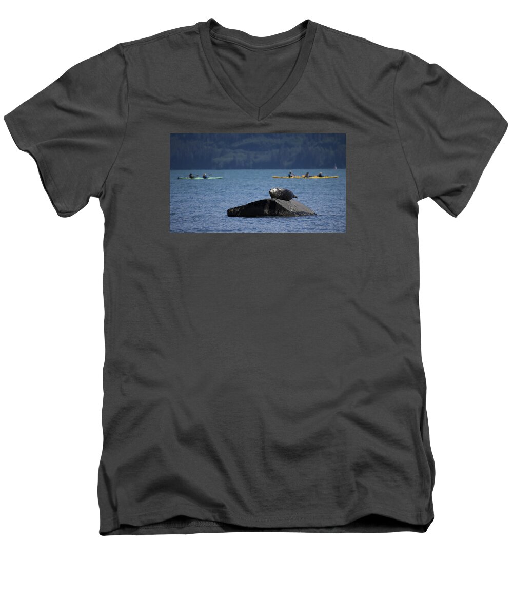 Harbor Seal Men's V-Neck T-Shirt featuring the photograph Take No Notice by Ian Johnson