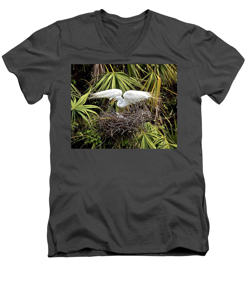 Egrets Men's V-Neck T-Shirt featuring the photograph Taking Care of Two Fuzzy Headed Babies by Carol Bradley