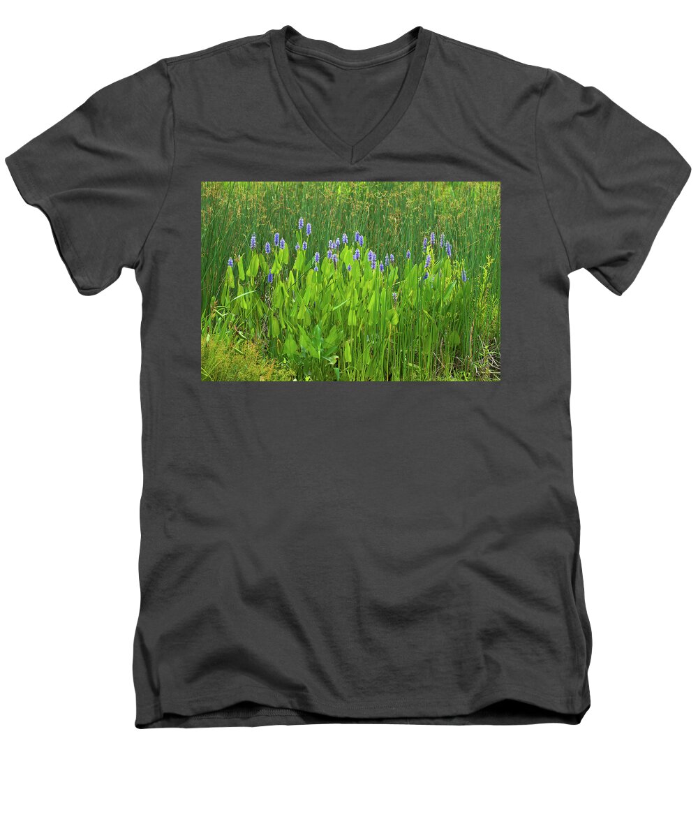 Bloom Men's V-Neck T-Shirt featuring the photograph Tall Purple and Blue Blooming Flowers by Dennis Dame