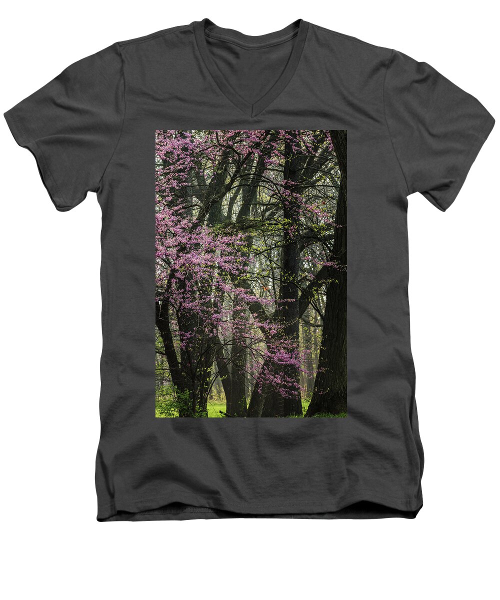 Illinois Men's V-Neck T-Shirt featuring the photograph Tall Red Buds in Spring by Joni Eskridge