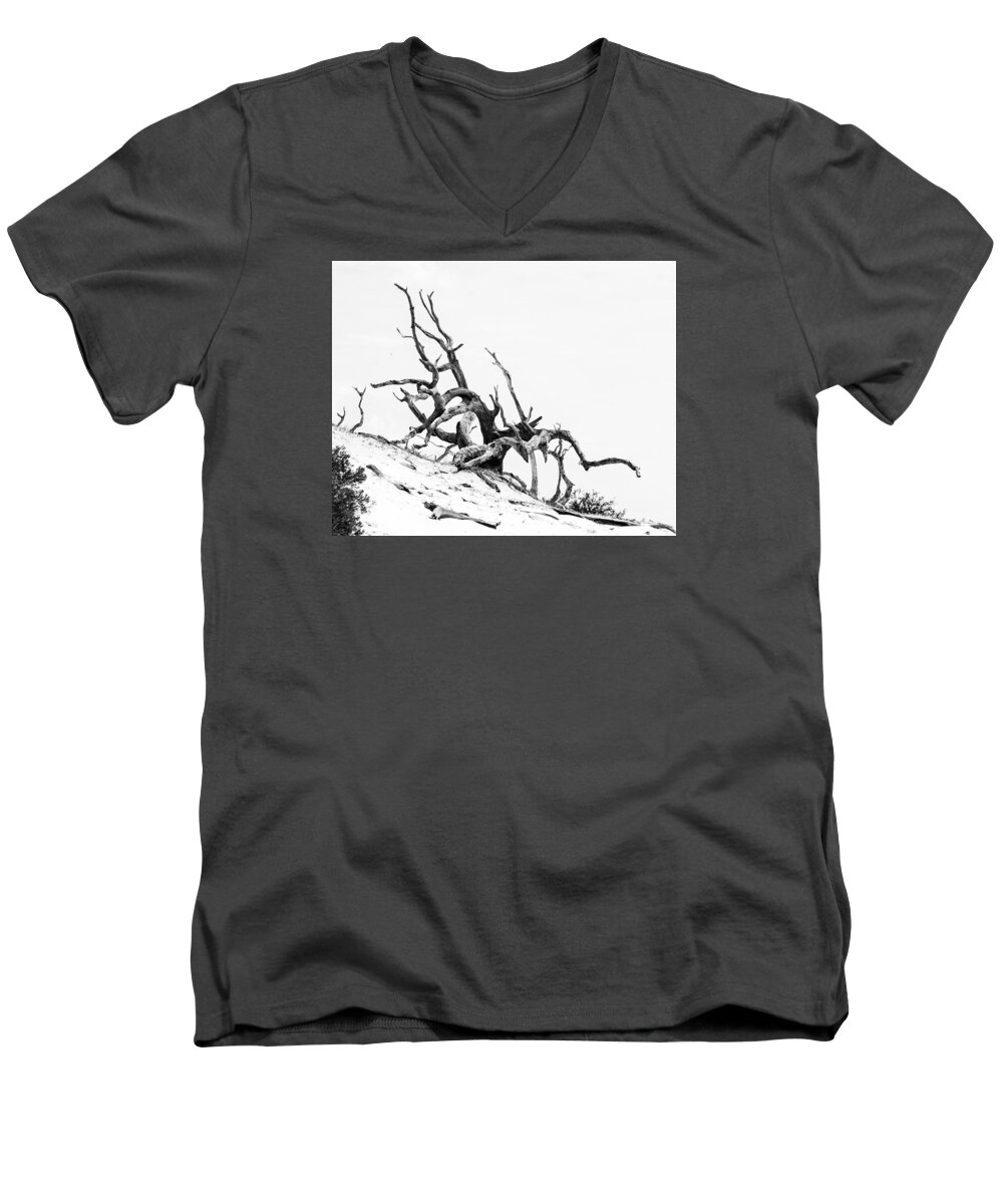 High Key Men's V-Neck T-Shirt featuring the photograph Tangled by Alan Raasch