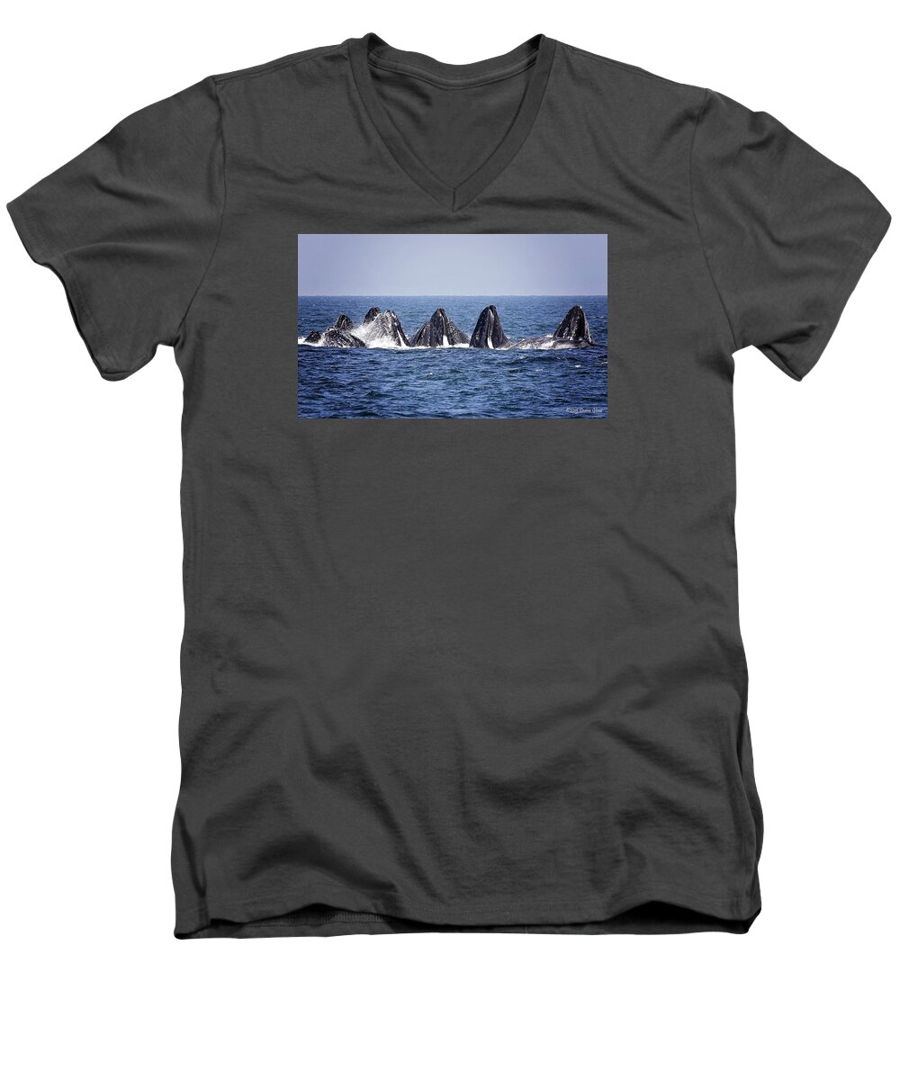 Humpback Men's V-Neck T-Shirt featuring the photograph Ten Lunge Feeding Humpbacks by Deana Glenz