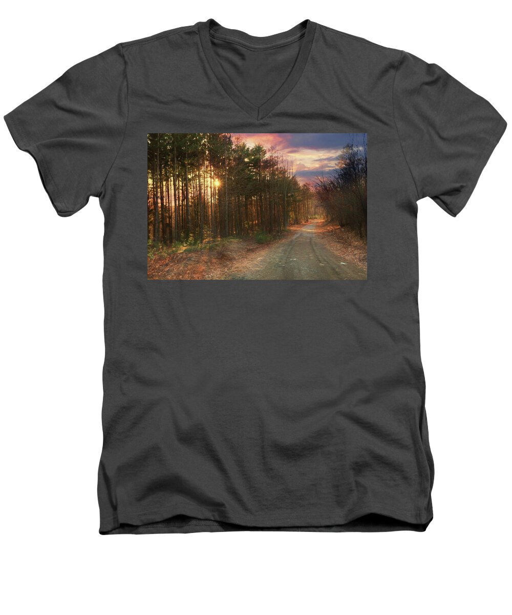Road Men's V-Neck T-Shirt featuring the photograph The Brown Path Before Me by Lori Deiter