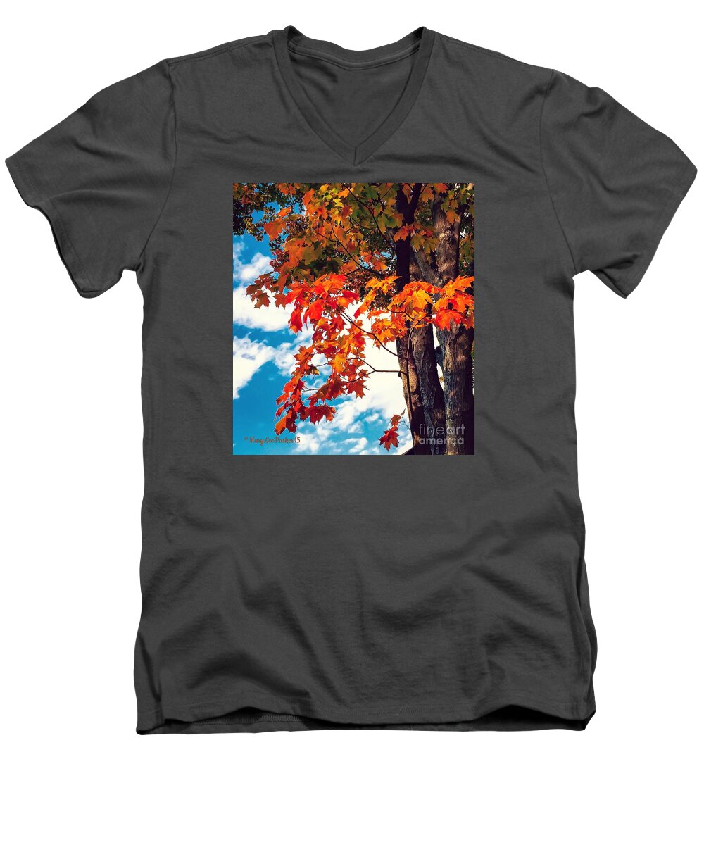 Photograph Men's V-Neck T-Shirt featuring the photograph The changing by MaryLee Parker