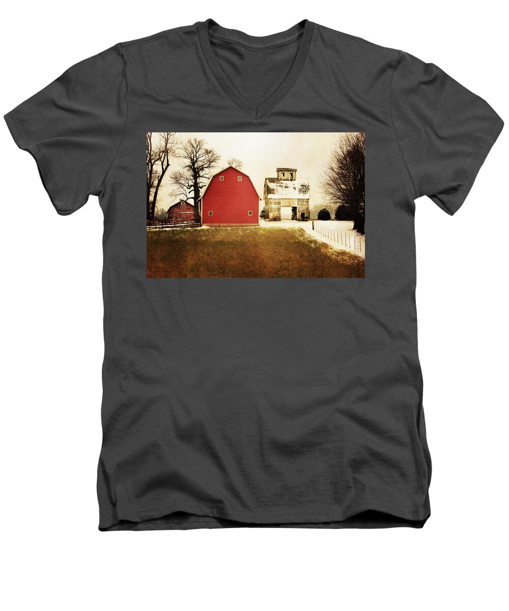 Barn Men's V-Neck T-Shirt featuring the photograph The Favorite by Julie Hamilton