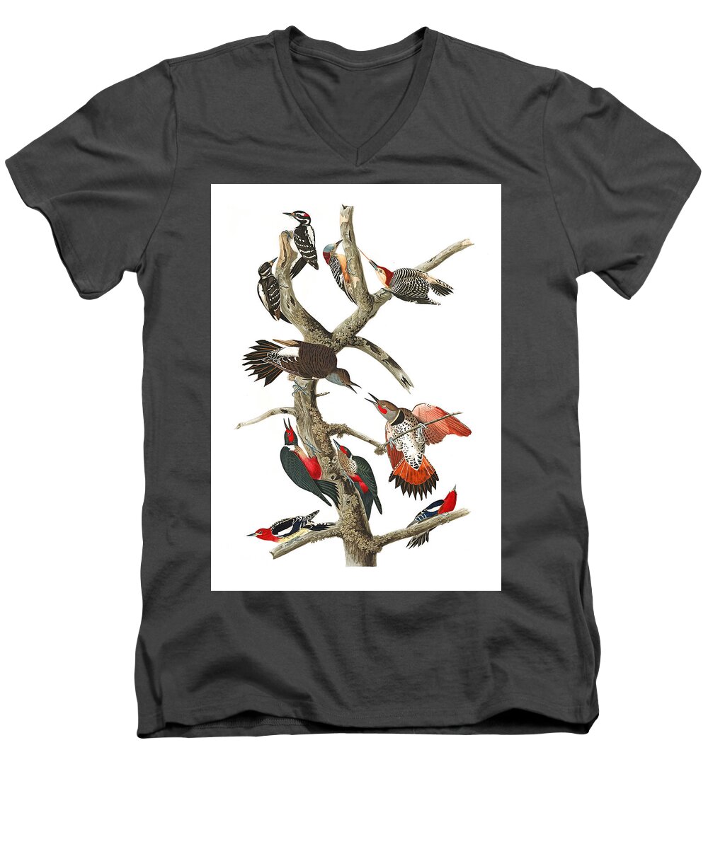 John James Audubon Men's V-Neck T-Shirt featuring the photograph The Fight by Munir Alawi