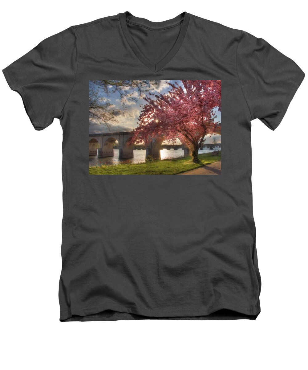 Tree Men's V-Neck T-Shirt featuring the photograph The Last Glimmer by Lori Deiter