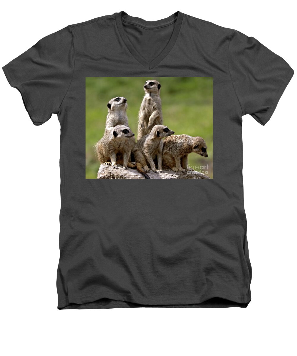 Animal Men's V-Neck T-Shirt featuring the photograph The Management by Stephen Melia