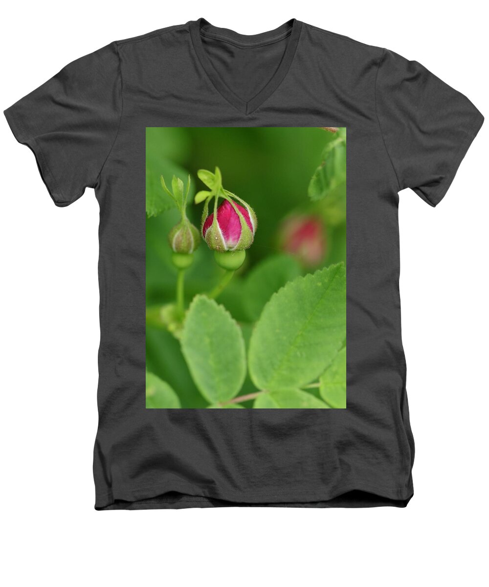 Nootka Rose Men's V-Neck T-Shirt featuring the photograph The Nootka Dance by I'ina Van Lawick