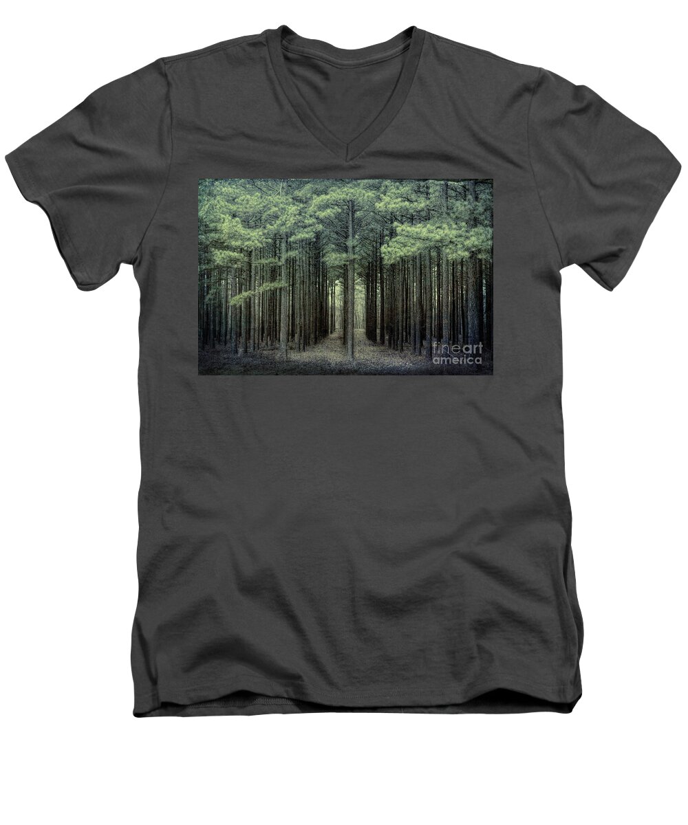 Path Men's V-Neck T-Shirt featuring the photograph The Path by Lynn Sprowl