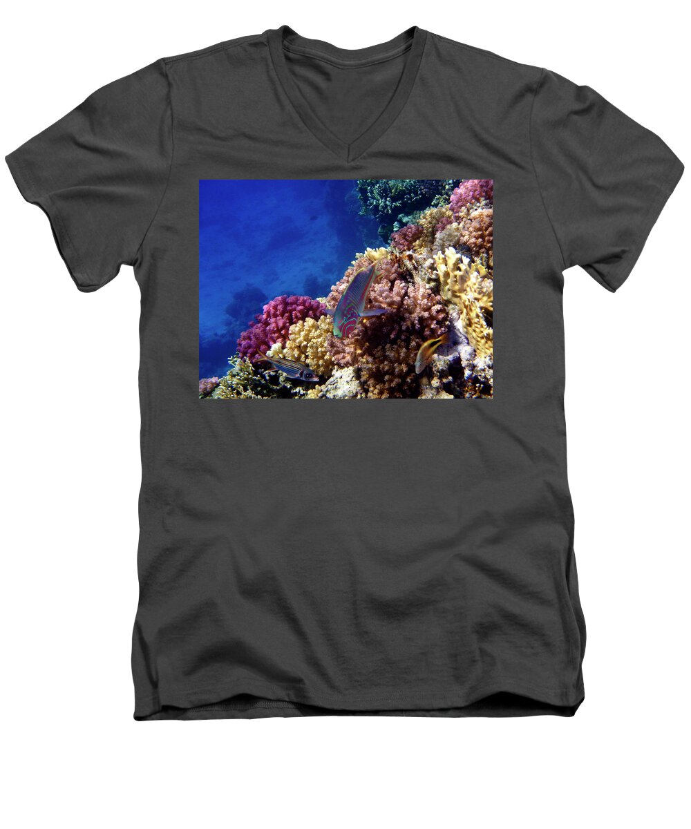 Underwater Men's V-Neck T-Shirt featuring the photograph Three Amigos by Johanna Hurmerinta
