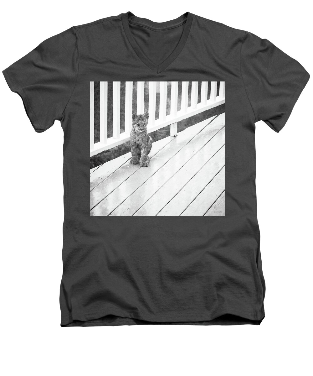 Lynx Men's V-Neck T-Shirt featuring the photograph Time Out BW by Tim Newton