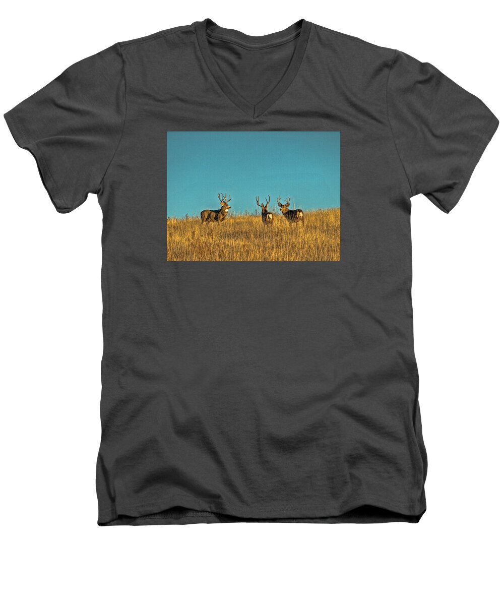 Wildlife Men's V-Neck T-Shirt featuring the photograph Time to Go by Alana Thrower