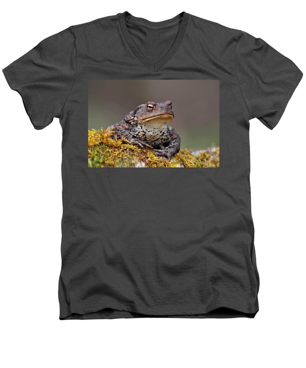 Common Toad Men's V-Neck T-Shirt featuring the photograph Toad by Gavin Macrae