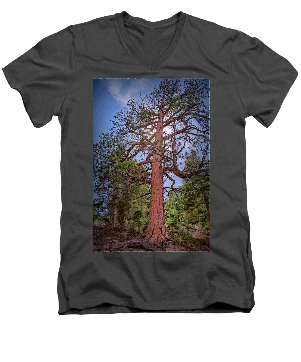 Tree Men's V-Neck T-Shirt featuring the photograph Tree Cali by Paul Vitko