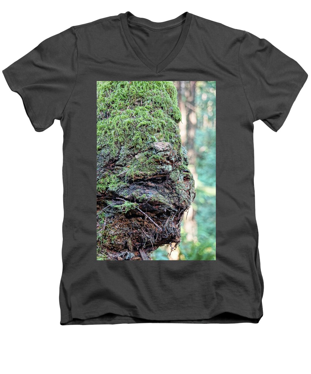 Tree Men's V-Neck T-Shirt featuring the photograph Tree Feelings 1754 by Tim Dussault
