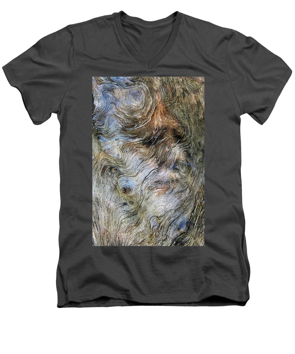Trees Men's V-Neck T-Shirt featuring the photograph Tree Memories # 40 by Ed Hall