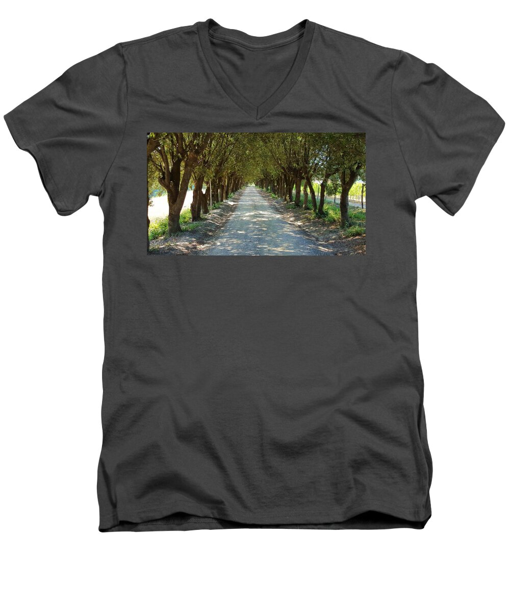 Tuscan Men's V-Neck T-Shirt featuring the photograph Tree Tunnel by Valentino Visentini