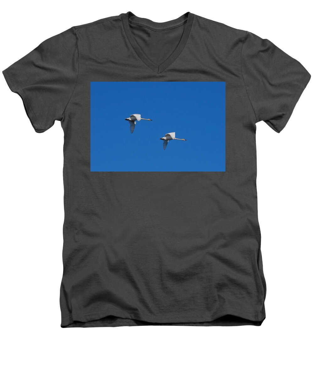 Swan Men's V-Neck T-Shirt featuring the photograph Trumpeter Swans 1725 by Michael Peychich