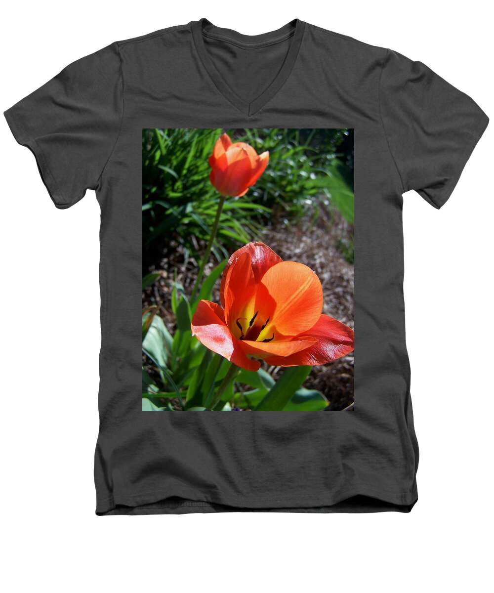 Tulips Men's V-Neck T-Shirt featuring the photograph Tulips Wearing Orange by Sandi OReilly