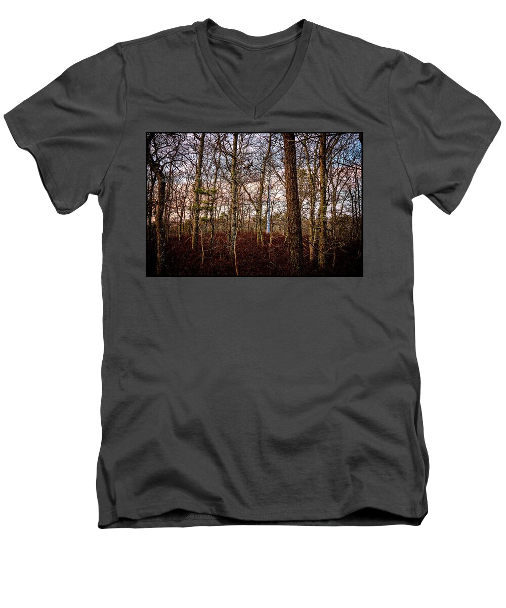 Sky Men's V-Neck T-Shirt featuring the photograph Twilight by Frank Winters