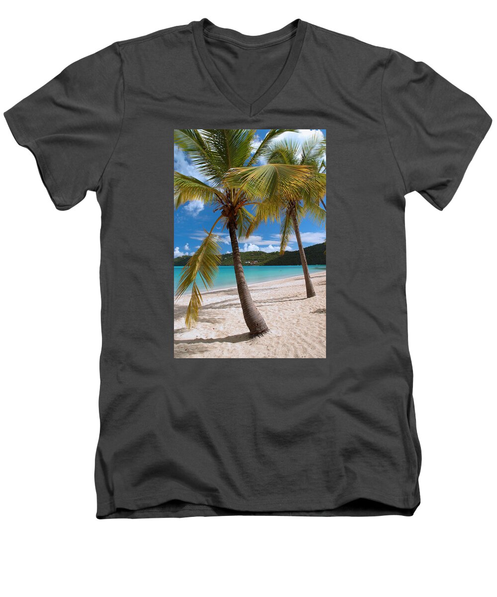 Magens Bay Men's V-Neck T-Shirt featuring the photograph Two Palms by Gary Felton
