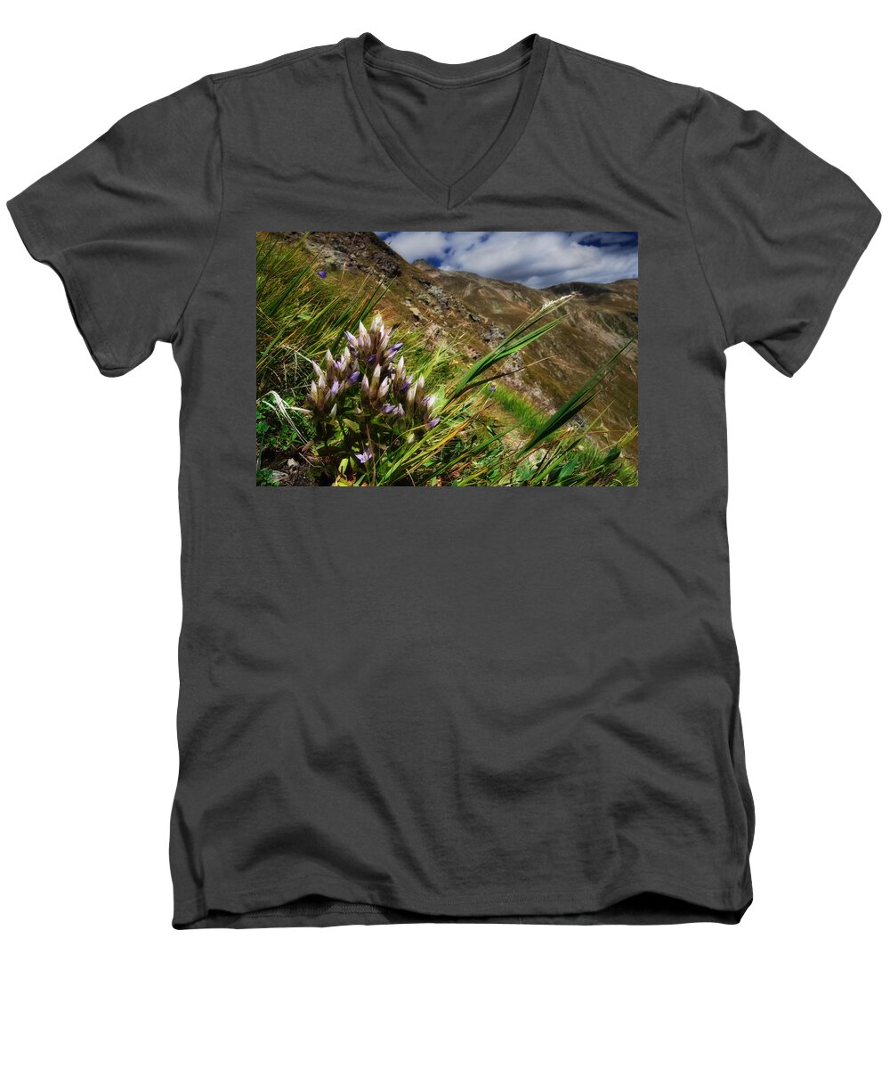 Environment Men's V-Neck T-Shirt featuring the photograph Untitled 94 by Roberto Pagani