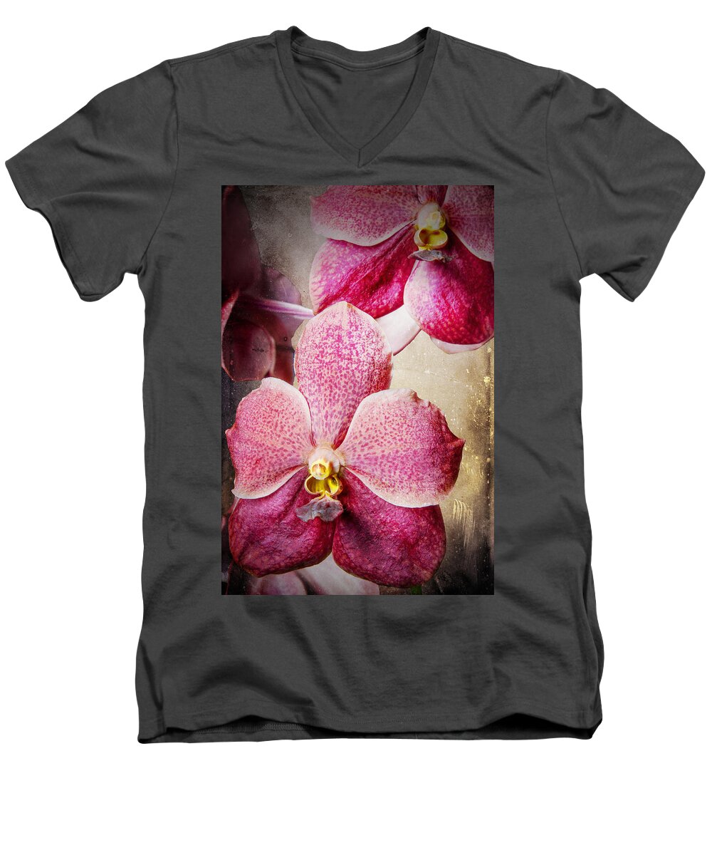 Vanda Men's V-Neck T-Shirt featuring the photograph Vanda orchid 3036A by Rudy Umans
