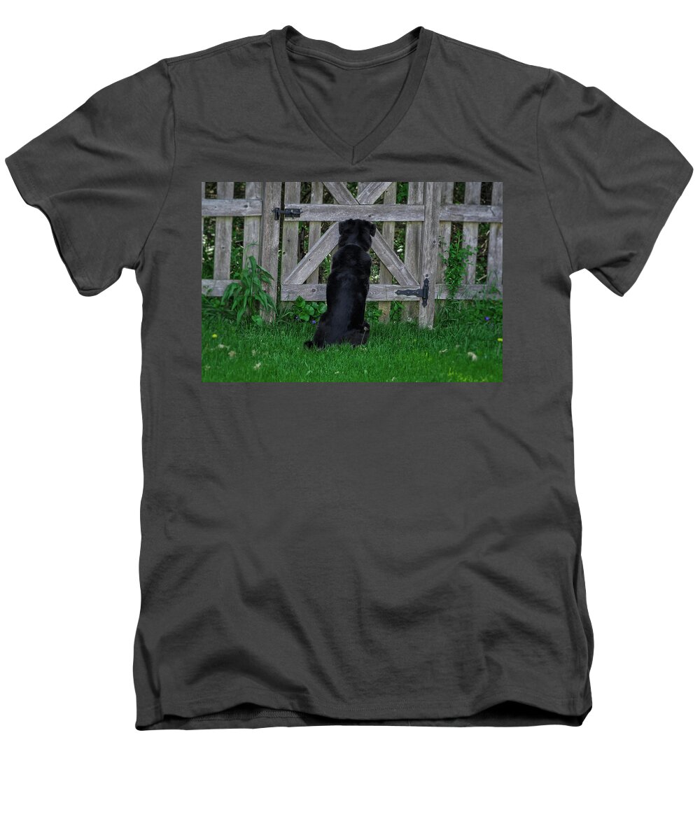 Animals Men's V-Neck T-Shirt featuring the photograph Waiting At The Gate by Jim Shackett