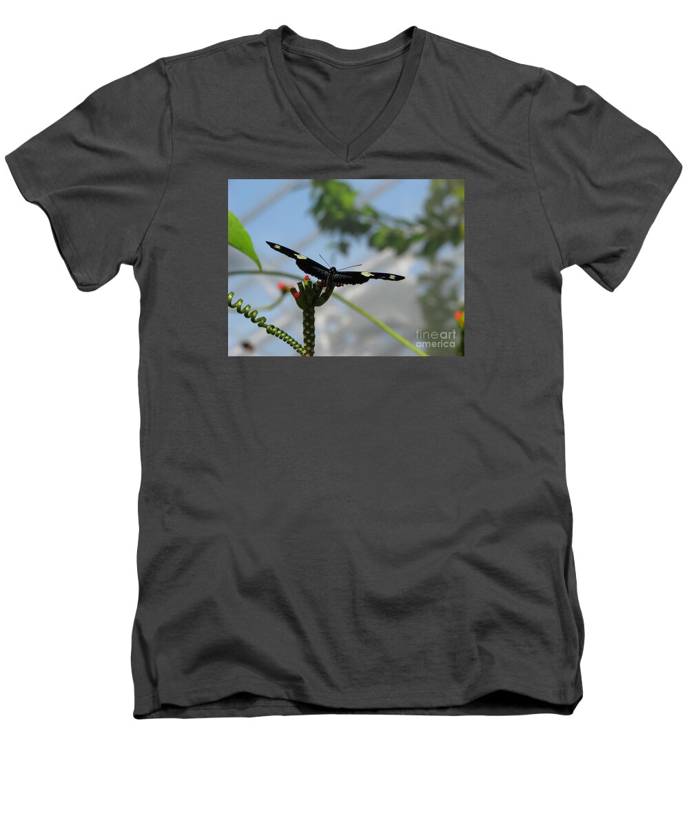 Butterfly Men's V-Neck T-Shirt featuring the photograph Waiting For Take Off by Michael Krek