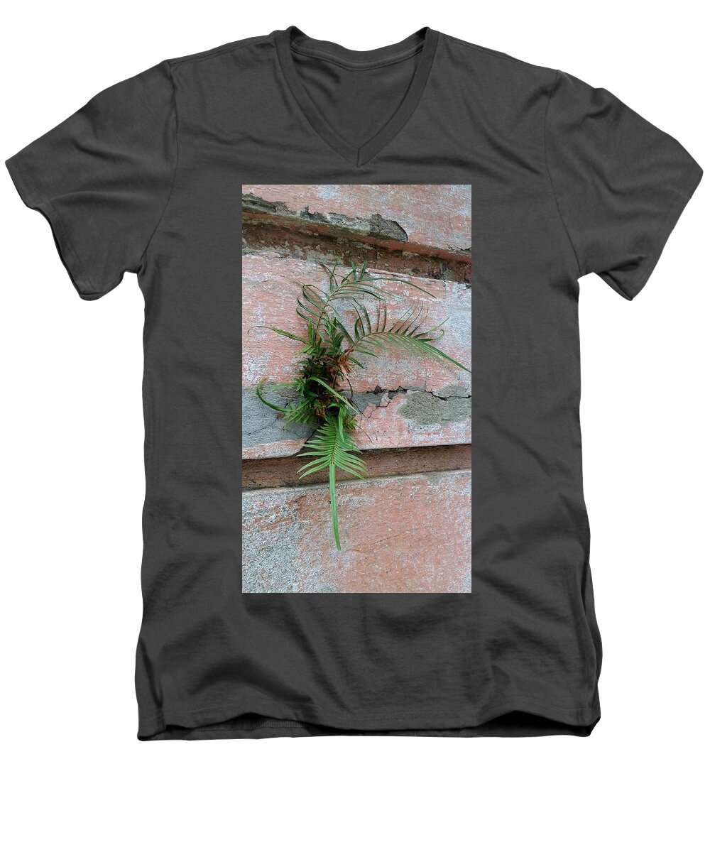 Wall Fern Men's V-Neck T-Shirt featuring the photograph Wall Fern by Leigh Meredith