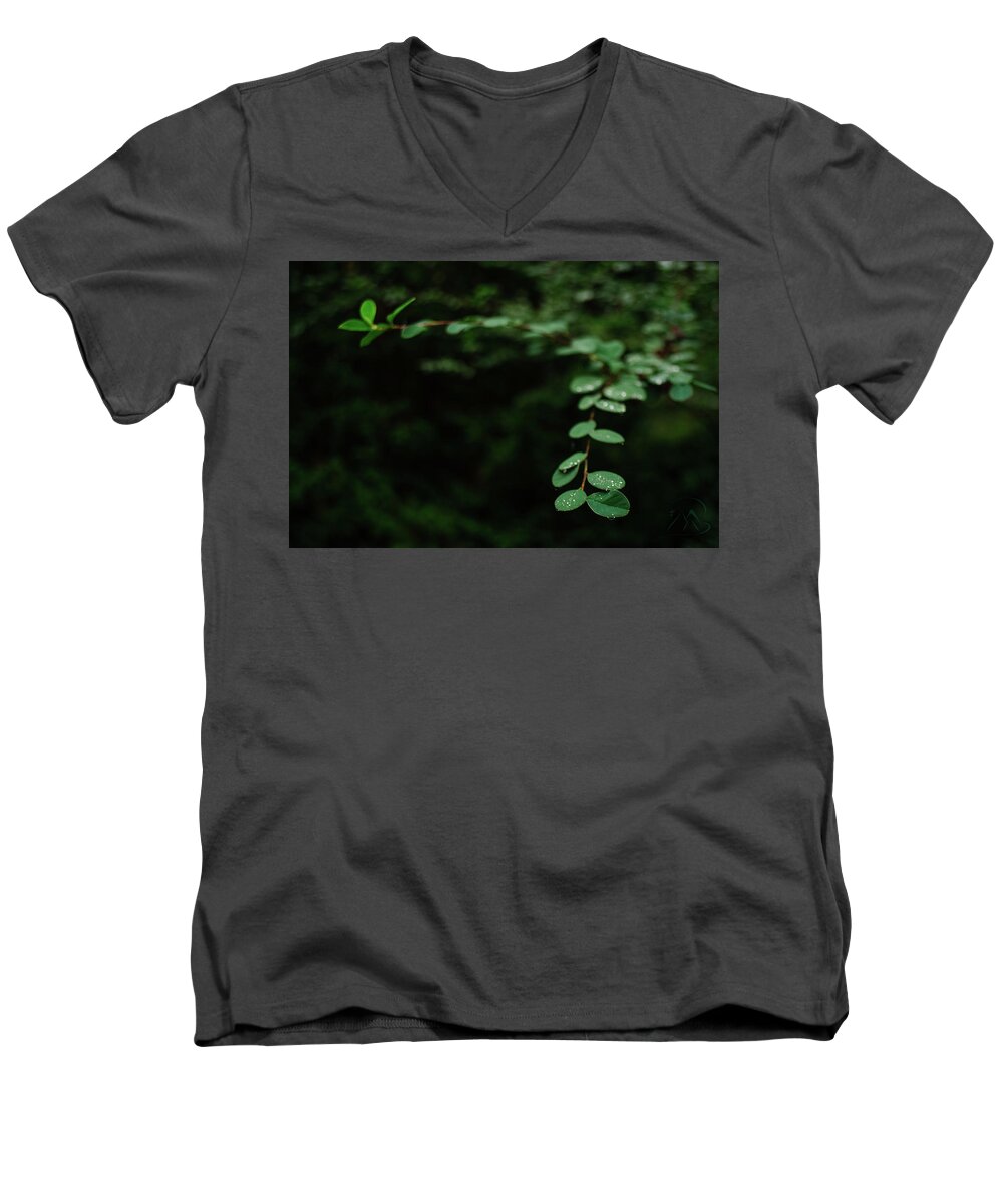 Leaves Men's V-Neck T-Shirt featuring the photograph Outreaching by Gene Garnace