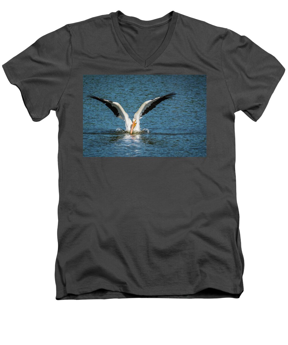Pelican Men's V-Neck T-Shirt featuring the photograph White American Pelican by Pamela Williams