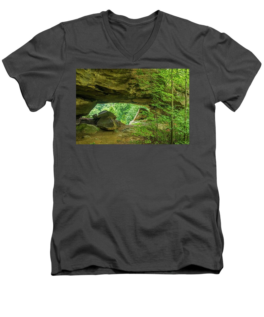 Mill Creek Lake Men's V-Neck T-Shirt featuring the photograph White Branch Arch by Ulrich Burkhalter