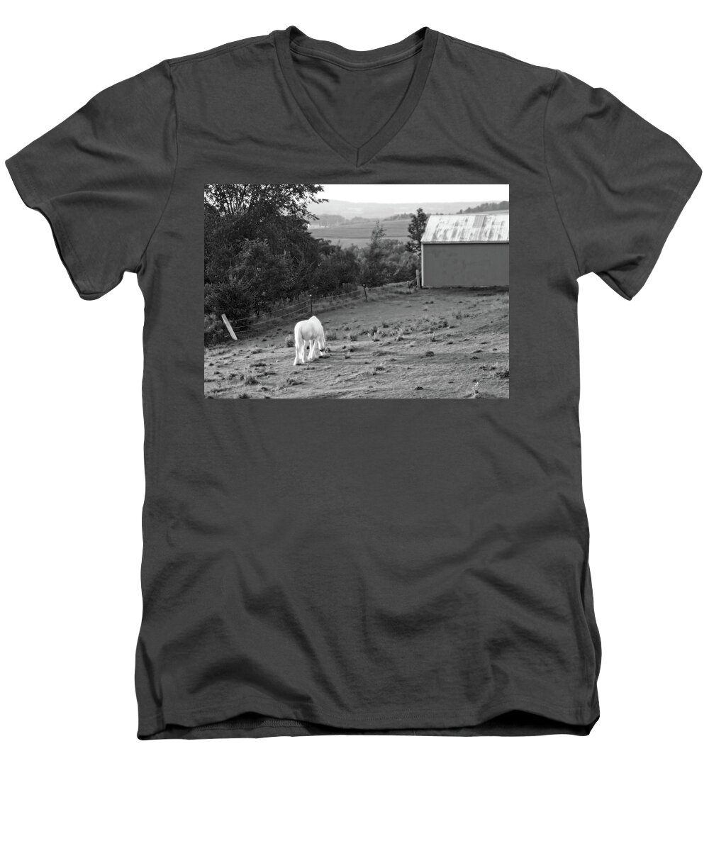 Horse Men's V-Neck T-Shirt featuring the photograph White Horse, New York by Brooke T Ryan