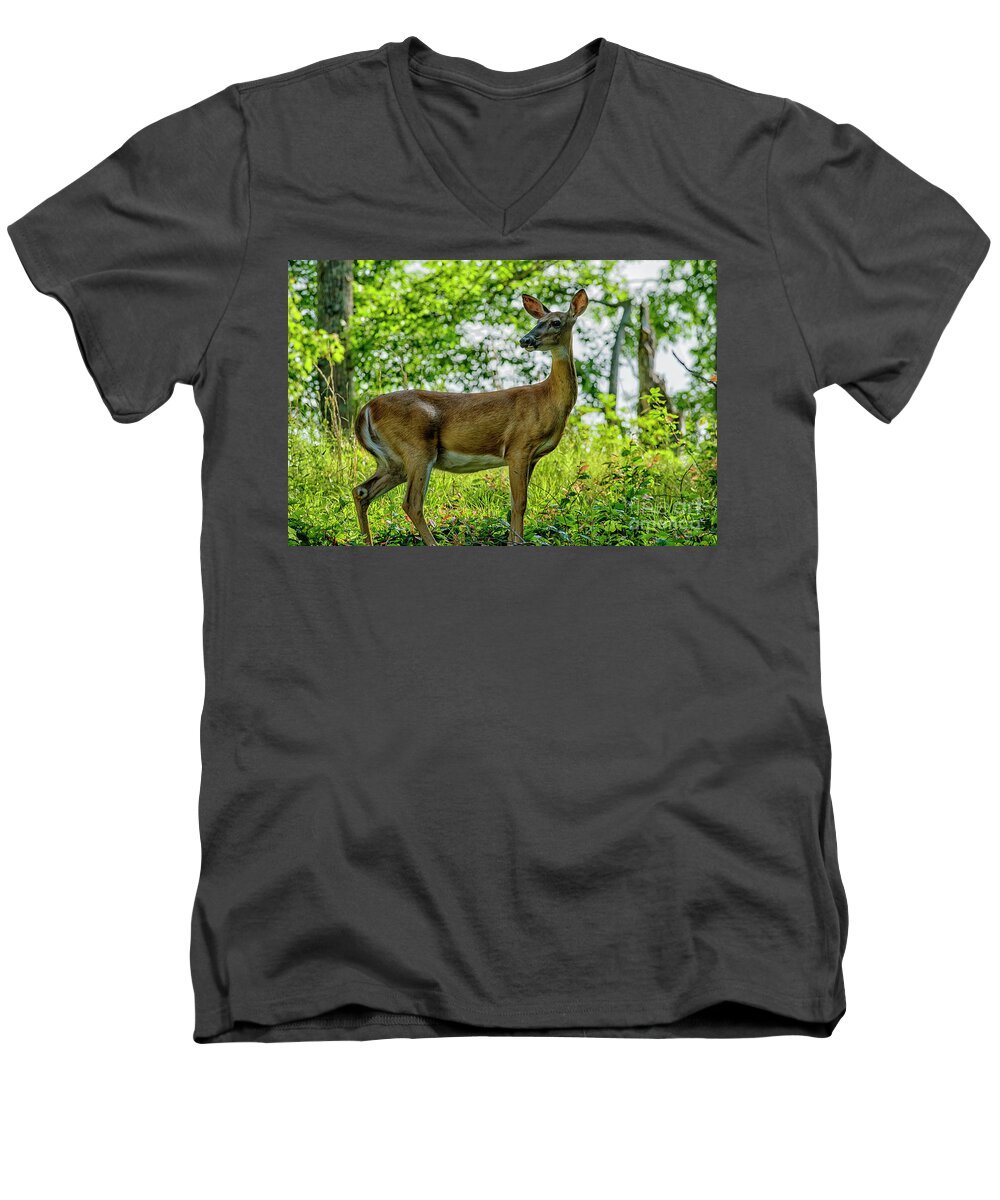 Whitetail Deer Men's V-Neck T-Shirt featuring the photograph Whitetail Deer by Thomas R Fletcher