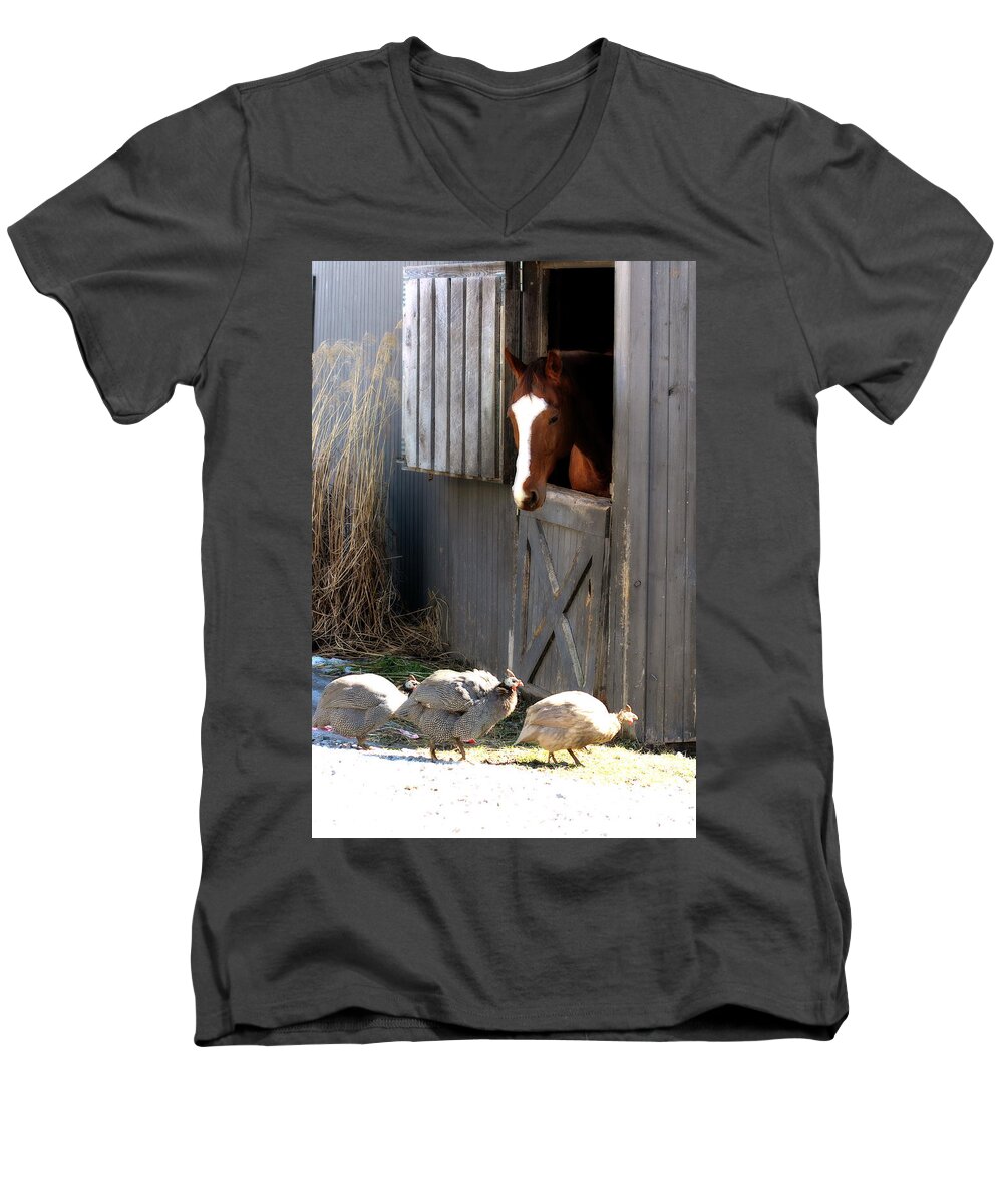 Horse Men's V-Neck T-Shirt featuring the photograph Why Did the Guinea Hen Cross the Road by Angela Rath