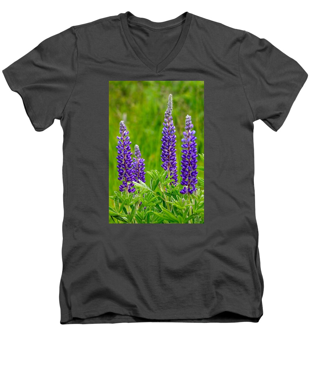 Wildflower Men's V-Neck T-Shirt featuring the photograph Wild Lupine by Karon Melillo DeVega