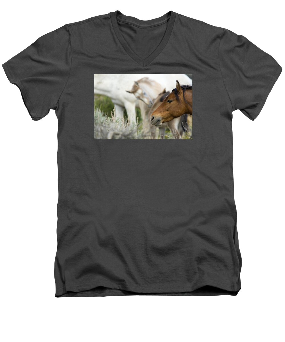 Horses Men's V-Neck T-Shirt featuring the photograph Wild Mustang Horses #2 by Waterdancer 