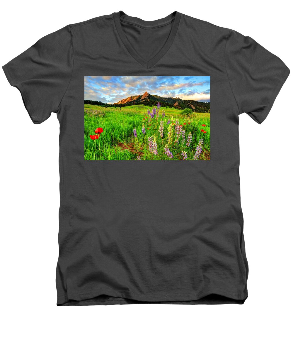Wildflowers Men's V-Neck T-Shirt featuring the photograph Wildflower Mix by Scott Mahon