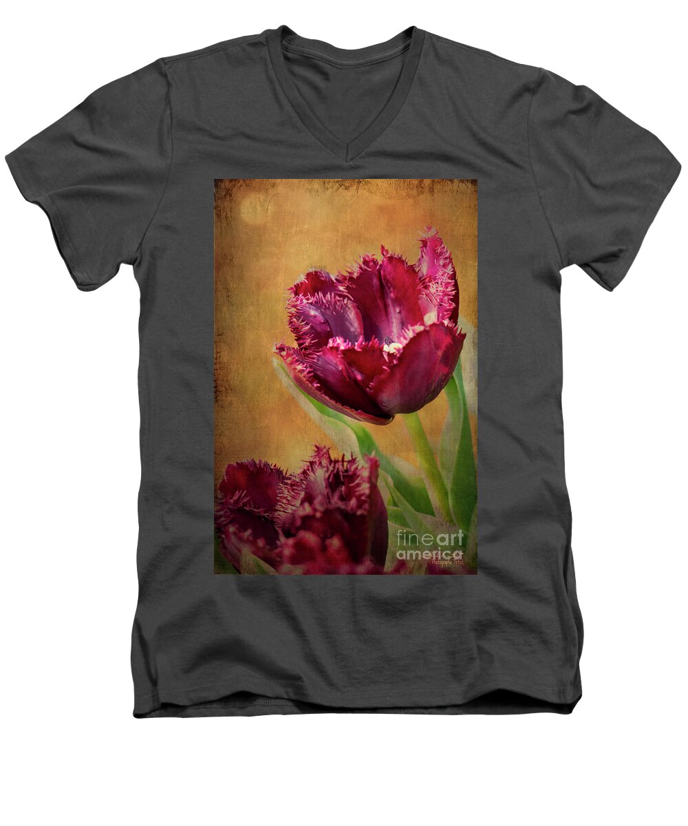 Wine Men's V-Neck T-Shirt featuring the painting Wine Dark Tulips from my Garden by Chris Armytage