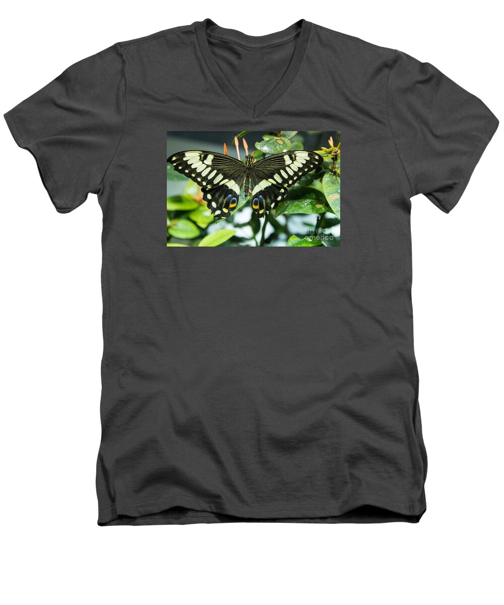Wings. Color Men's V-Neck T-Shirt featuring the photograph Wings Of Color by Steven Parker
