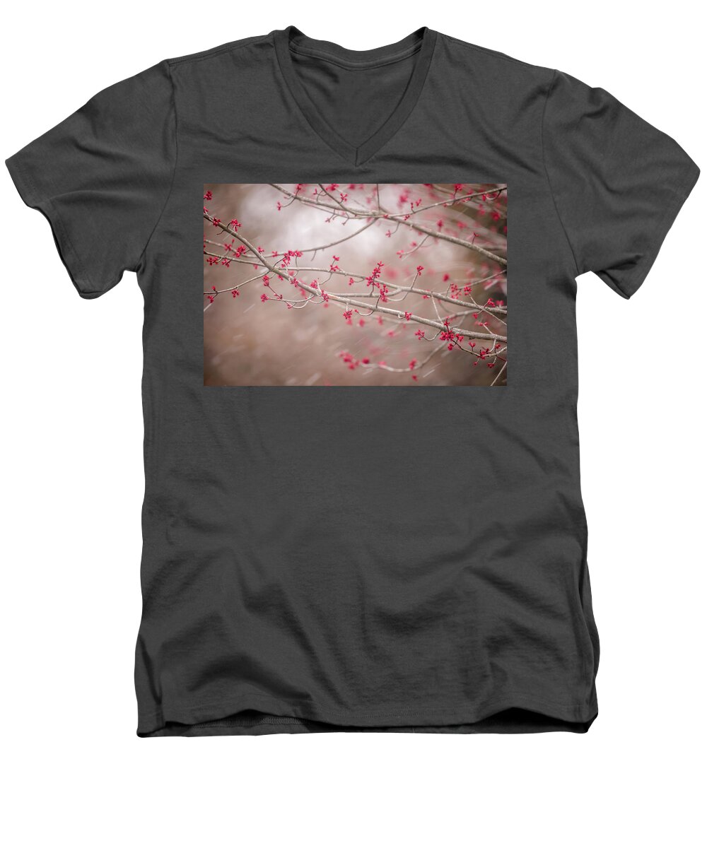 Winter And Spring Men's V-Neck T-Shirt featuring the photograph Winter and Spring by Terry DeLuco