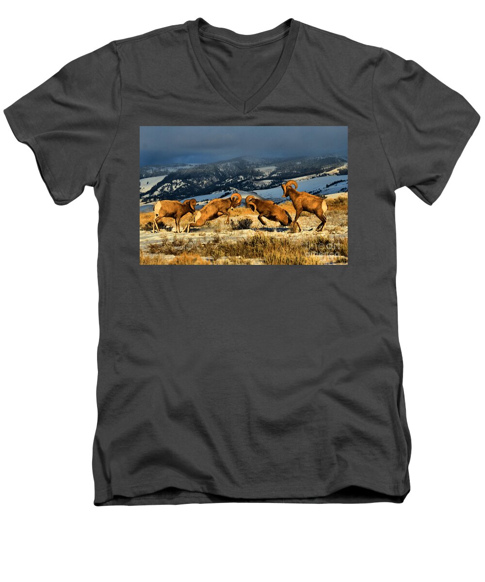 Bighorns Men's V-Neck T-Shirt featuring the photograph Wyoming Bighorn Brawl by Adam Jewell