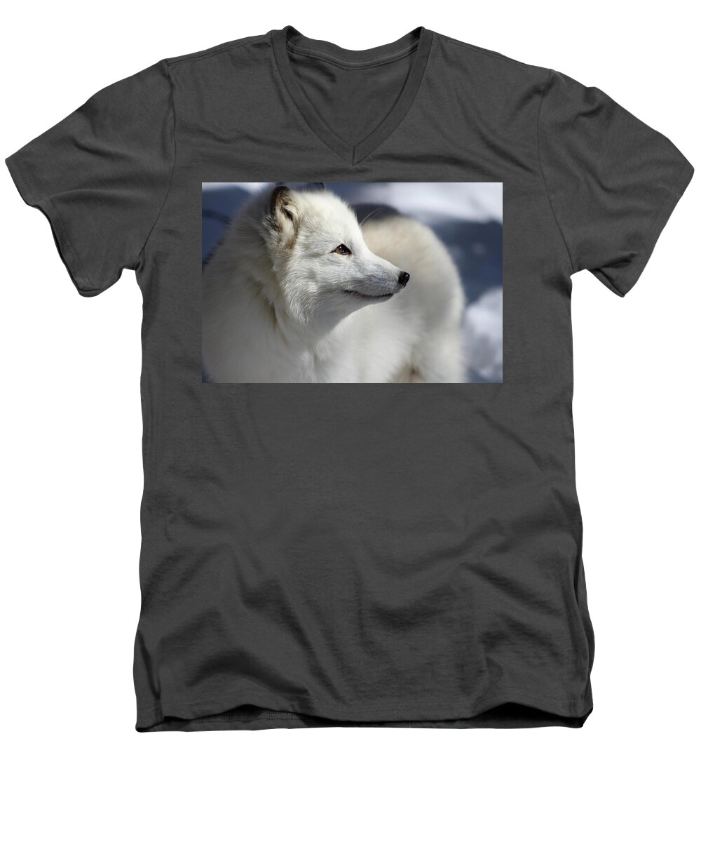 Arctic Fox Men's V-Neck T-Shirt featuring the photograph Yana the Fox by Azthet Photography