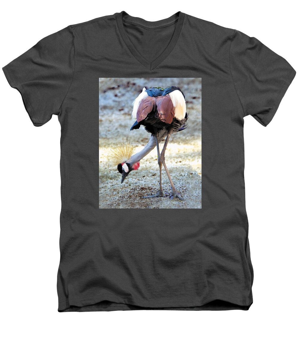 Bird Men's V-Neck T-Shirt featuring the photograph Yellow Crowned Crane Profile Standing by William Bitman