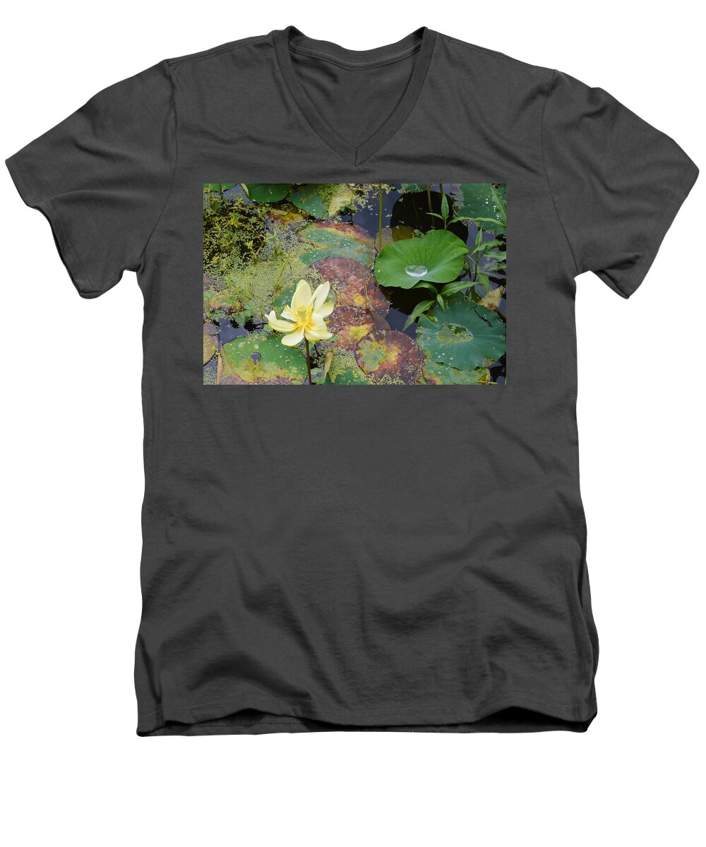 Yellow Lotus At Paynes Prairie Men's V-Neck T-Shirt featuring the photograph Yellow Lotus at Paynes Prairie by Warren Thompson